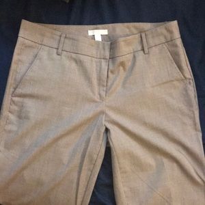 NY and Co slacks